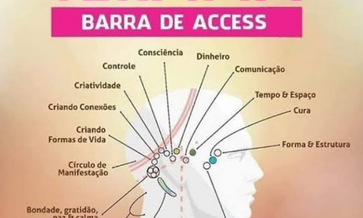 Você já ouviu falar em Barras de Access?