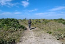 Governo de São Paulo lança Rede Estadual de Trilhas para integrar turismo sustentável e conservação ambiental