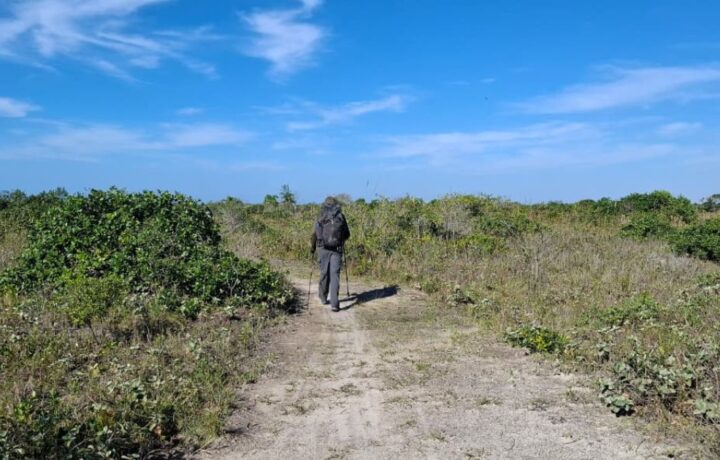Governo de São Paulo lança Rede Estadual de Trilhas para integrar turismo sustentável e conservação ambiental