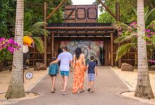 Ody Park abriga um dos zoológicos mais surpreendentes do Paraná