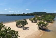 Praias paradisíacas, imersão na floresta e cultura: viva a essência de Alter do Chão