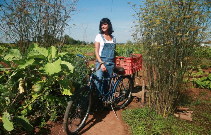 Do campo ao prato: como a alta gastronomia está ajudando a preservar a biodiversidade