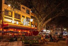 Serra Negra floresce: os sabores de primavera do Grupo Café Boteco
