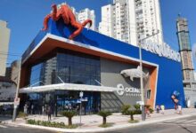 Feriadão em Balneário Camboriú: experiências fora da rotina ganham espaço nos roteiros